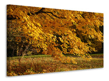 Laden Sie das Bild in den Galerie-Viewer, Leinwandbild Der prächtige Herbstbaum