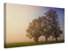 Laden Sie das Bild in den Galerie-Viewer, Leinwandbild Der schiefe Baum