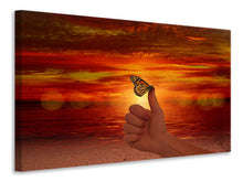 Laden Sie das Bild in den Galerie-Viewer, Leinwandbild Der Schmetterling im Abendlicht