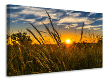 Laden Sie das Bild in den Galerie-Viewer, Leinwandbild Der Sonnenuntergang auf dem Feld