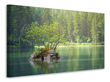 Laden Sie das Bild in den Galerie-Viewer, Leinwandbild Der Teich im Wald