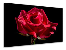 Laden Sie das Bild in den Galerie-Viewer, Leinwandbild Die Blume der Liebe