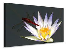 Laden Sie das Bild in den Galerie-Viewer, Leinwandbild Die Libelle auf der Blüte