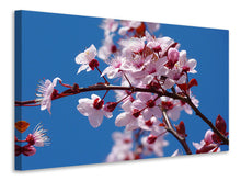 Laden Sie das Bild in den Galerie-Viewer, Leinwandbild Die Mandelblüte
