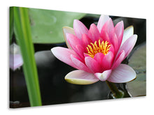 Laden Sie das Bild in den Galerie-Viewer, Leinwandbild Die Seerose in pink