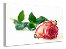 Laden Sie das Bild in den Galerie-Viewer, Leinwandbild Die stolze Rose