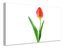 Laden Sie das Bild in den Galerie-Viewer, Leinwandbild Die stolze Tulpe