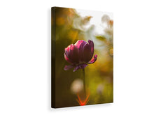 Laden Sie das Bild in den Galerie-Viewer, Leinwandbild Dunkle Tulpen Schönheit