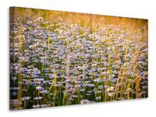 Laden Sie das Bild in den Galerie-Viewer, Leinwandbild Ein Feld voll Kamille