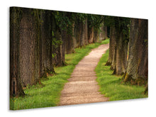Laden Sie das Bild in den Galerie-Viewer, Leinwandbild Ein Weg im Wald