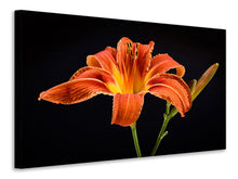 Laden Sie das Bild in den Galerie-Viewer, Leinwandbild Eine Lilien Blüte in orange