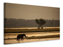Laden Sie das Bild in den Galerie-Viewer, Leinwandbild Elefant alleine in der Steppe
