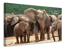 Laden Sie das Bild in den Galerie-Viewer, Leinwandbild Elefantenherde in Afrika