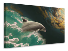 Laden Sie das Bild in den Galerie-Viewer, Leinwandbild Faszination Delfin