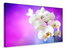 Laden Sie das Bild in den Galerie-Viewer, Leinwandbild Flower Power Orchidee