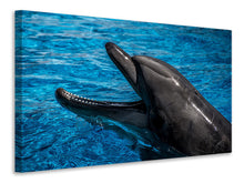 Laden Sie das Bild in den Galerie-Viewer, Leinwandbild Freundlicher Delphin