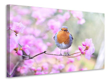 Laden Sie das Bild in den Galerie-Viewer, Leinwandbild Frühlings Vogel