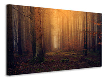 Laden Sie das Bild in den Galerie-Viewer, Leinwandbild Geheimnisvoller Wald