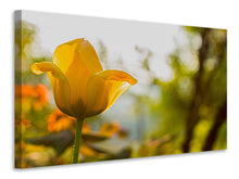 Laden Sie das Bild in den Galerie-Viewer, Leinwandbild Gelbe Tulpe in der Natur