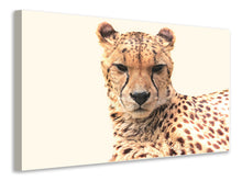 Laden Sie das Bild in den Galerie-Viewer, Leinwandbild Gepard in der Sonne