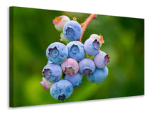 Laden Sie das Bild in den Galerie-Viewer, Leinwandbild Heidelbeeren in der Natur