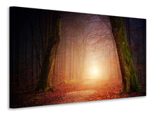 Laden Sie das Bild in den Galerie-Viewer, Leinwandbild Herbst im Wald