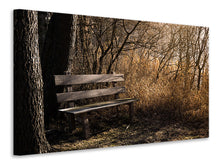 Laden Sie das Bild in den Galerie-Viewer, Leinwandbild Holzbank im Wald
