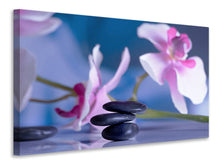 Laden Sie das Bild in den Galerie-Viewer, Leinwandbild Hot Stones