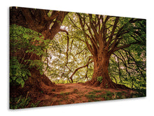 Laden Sie das Bild in den Galerie-Viewer, Leinwandbild Im dichten Wald