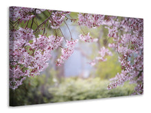 Laden Sie das Bild in den Galerie-Viewer, Leinwandbild Im schönen Frühling