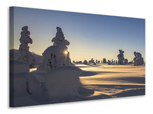 Laden Sie das Bild in den Galerie-Viewer, Leinwandbild In Lappland