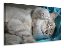 Laden Sie das Bild in den Galerie-Viewer, Leinwandbild Katzen Mama mit Baby