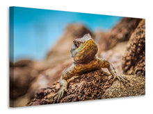 Laden Sie das Bild in den Galerie-Viewer, Leinwandbild Kleiner Alligator