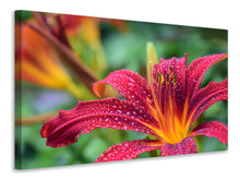 Laden Sie das Bild in den Galerie-Viewer, Leinwandbild Lilien Blüte in pink XL