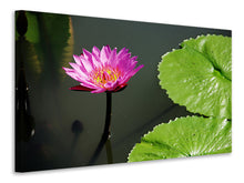 Laden Sie das Bild in den Galerie-Viewer, Leinwandbild Lotus Blüte in pink