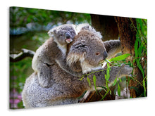 Laden Sie das Bild in den Galerie-Viewer, Leinwandbild Mama und Baby Koala