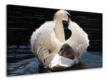 Laden Sie das Bild in den Galerie-Viewer, Leinwandbild Mama und Baby Schwan