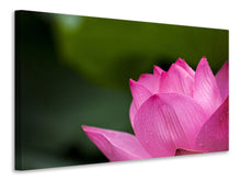 Laden Sie das Bild in den Galerie-Viewer, Leinwandbild Marko Lotus in pink