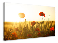 Laden Sie das Bild in den Galerie-Viewer, Leinwandbild Mohn im Sonnenuntergang
