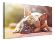 Laden Sie das Bild in den Galerie-Viewer, Leinwandbild Müde Bulldogge