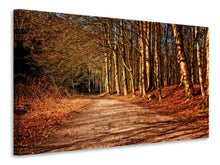 Laden Sie das Bild in den Galerie-Viewer, Leinwandbild Natur im Herbst