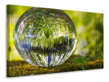 Laden Sie das Bild in den Galerie-Viewer, Leinwandbild Natur Kugel