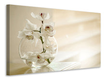 Laden Sie das Bild in den Galerie-Viewer, Leinwandbild Orchidee im Glas