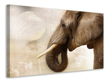 Laden Sie das Bild in den Galerie-Viewer, Leinwandbild Portrait eines Elefant