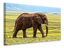 Laden Sie das Bild in den Galerie-Viewer, Leinwandbild Prächtiger Elefant