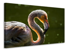 Laden Sie das Bild in den Galerie-Viewer, Leinwandbild Prächtiger Vogel