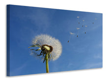 Laden Sie das Bild in den Galerie-Viewer, Leinwandbild Pusteblume - ich wünsch mir was