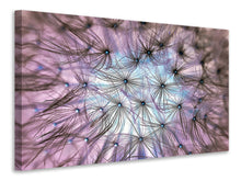 Laden Sie das Bild in den Galerie-Viewer, Leinwandbild Pusteblume im Lichterspiel