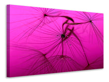 Laden Sie das Bild in den Galerie-Viewer, Leinwandbild Pusteblume in pink