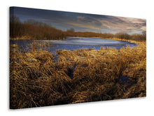 Laden Sie das Bild in den Galerie-Viewer, Leinwandbild Raue Naturlandschaft